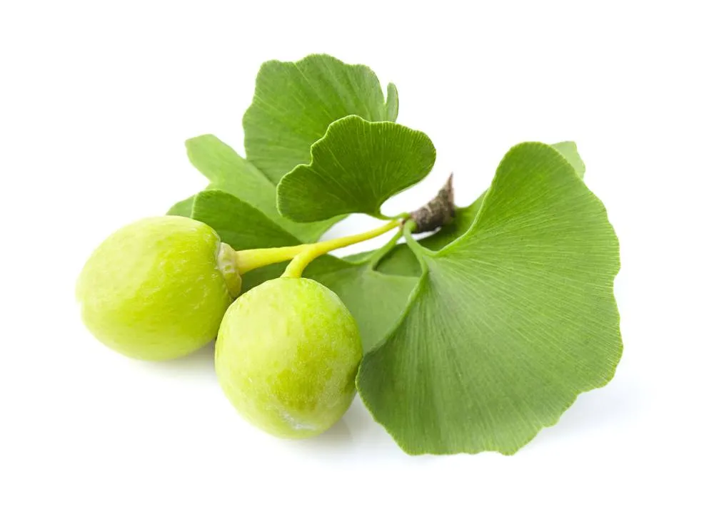 boost your libido with these mouth watering aphrodisiac foods 2