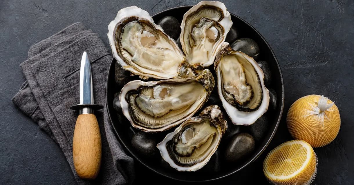 Oysters TPD Blog