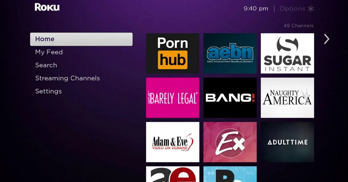 RokuPorn
