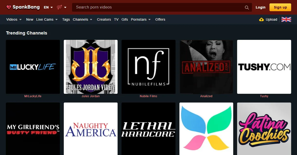 TPDBlog SpankBang3.1