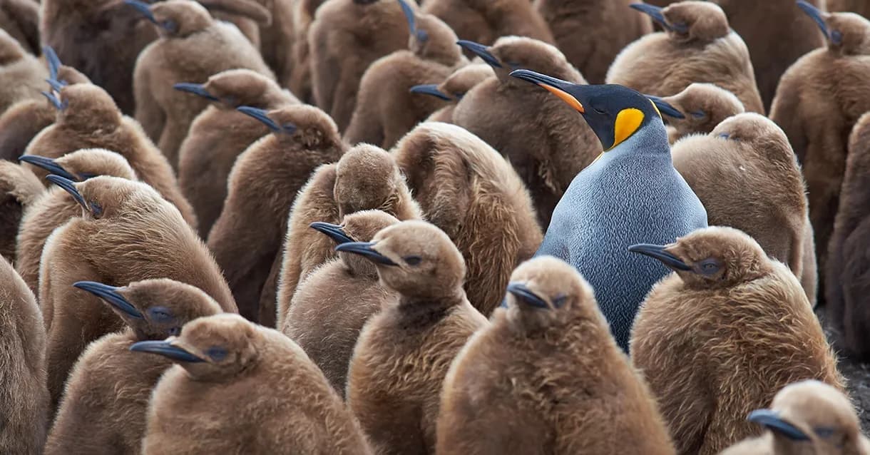 Stand out