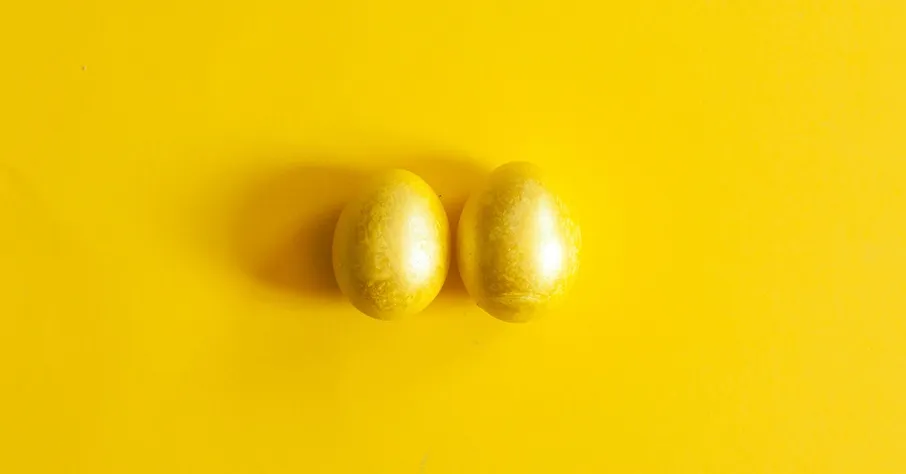 testicles