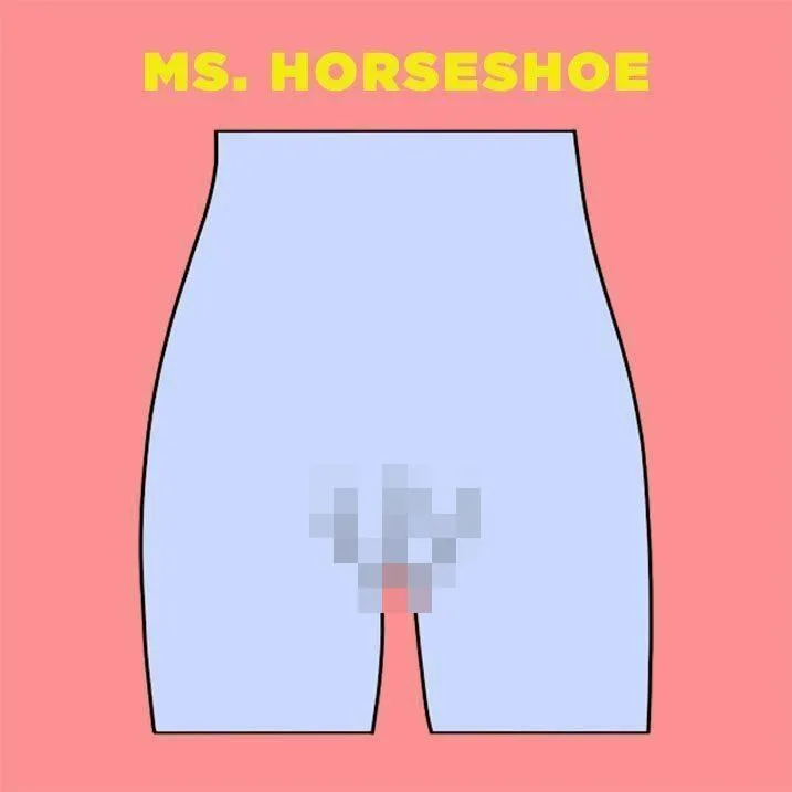 Vaginas4 blurred tmp