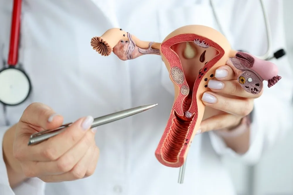 how deep is the vagina your burning questions answered 6